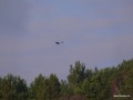 2010-11-21_022_orzel