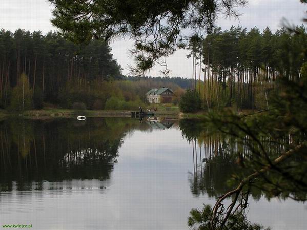 Widok na gospodarstwo od strony stawu