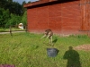 2010-06-12_089_figiel