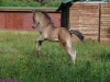 2010-06-19_011_figiel