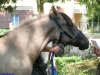 2007-08-25_173_junona