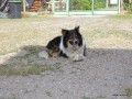 2006-07-01_049_nero