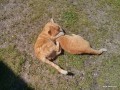 2014-05-31_091_koty