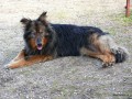 2007-03-11_016_pimpek
