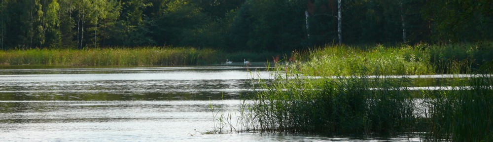 Kwiejce – Karpniki